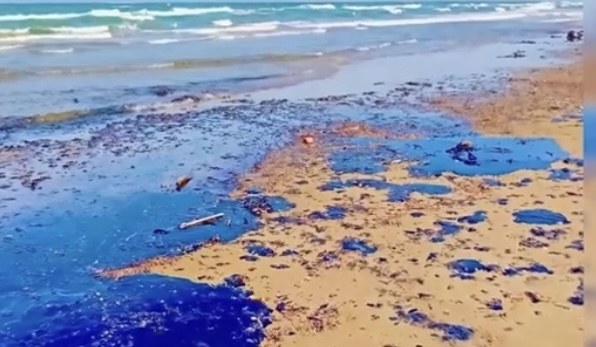 Emergencia : Marea negra en el Golfo