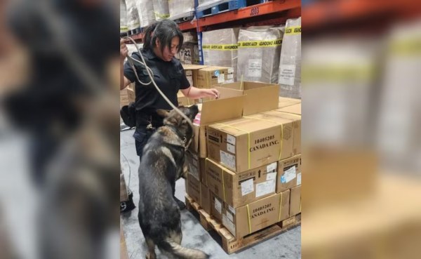 Aseguran 22 mil 800 vapeadores