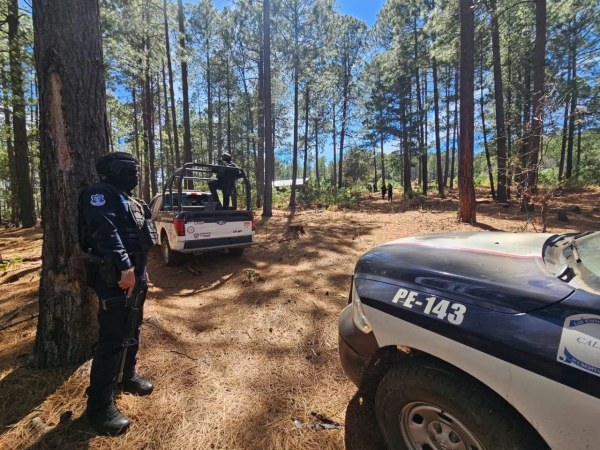 Hallan en Guachochi pista de aterrizaje clandestina