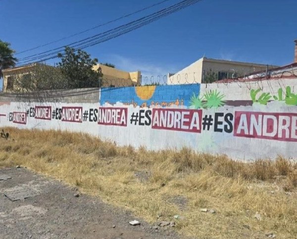 Realizan pintas en bardas de Fuentes del Sol de Andrea Chávez
