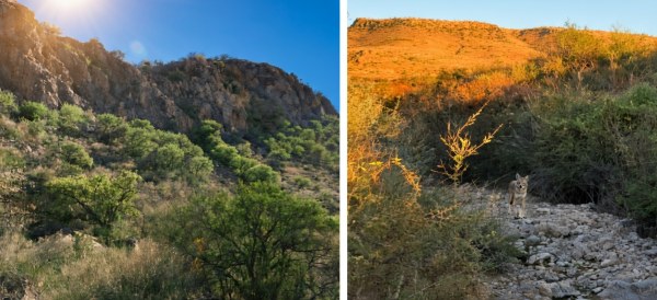 Blindan el Cerro del Caballo: No habrá fraccionamientos hasta 2044