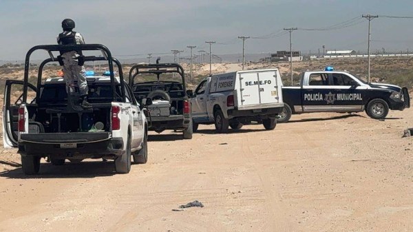 Hallan encobijado en Jardines de Roma