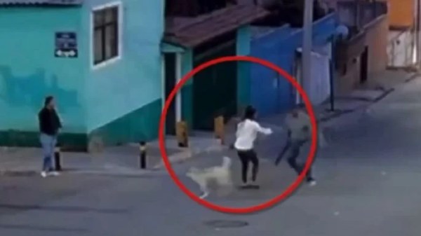 Atacan con machete a mujer por defender a perros callejeros