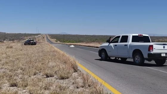Muere atropellado en carretera a Jiménez
