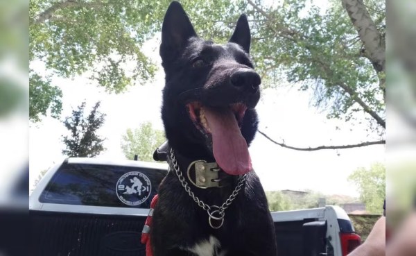 Dejan en libertad a presunto agresor de 