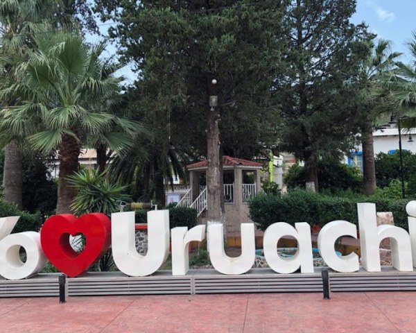 Operador de bulldozer muere tras caer a barranco en Uruachi