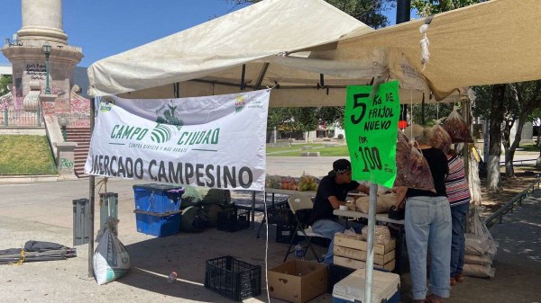 Venden 5 kilos de frijol a $100 pesos en el centro