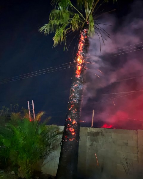 Alerta en Aldama por incendios provocados