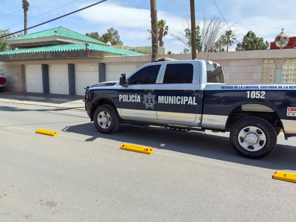 Muere electrocutado al cortar palmera