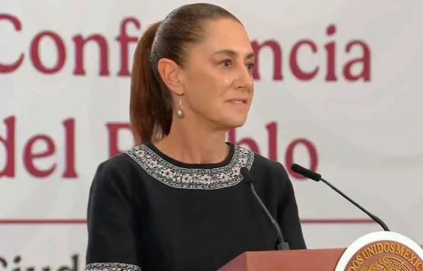 A nadie se le persigue: Sheinbaum
