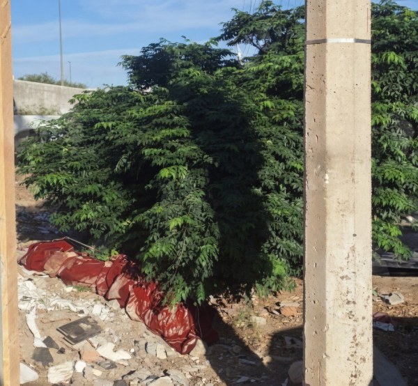 Encuentra a cobijado al salir de su casa