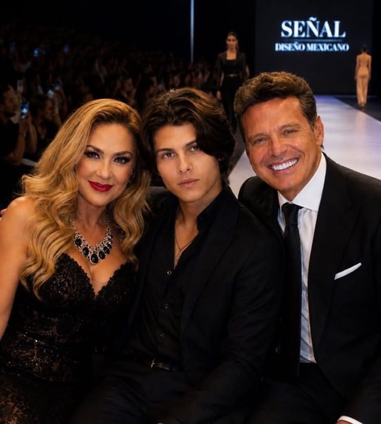 Luis Miguel y Aracely Arámbula se reencuentran