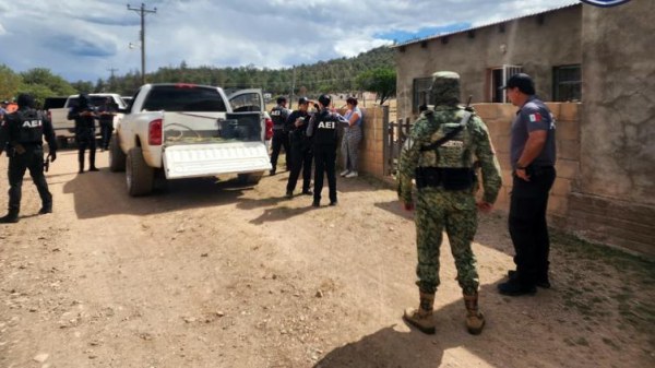 Despliegan más de 500 elementos a la sierra