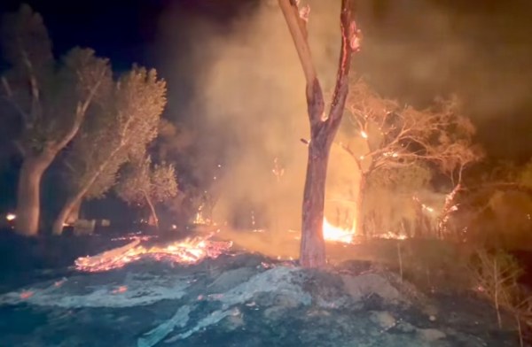 Se incendia El Bosque de Aldama