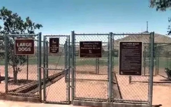 Mata con pistola a perro en El Paso
