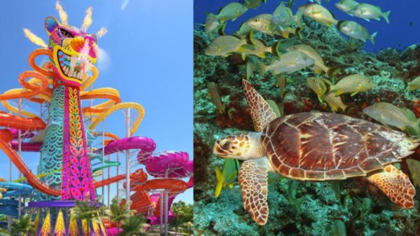 Frenan parque de diversiones en Mahahual