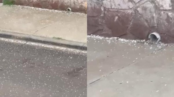 Captan granizo en zona de El Reliz