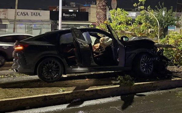 Choca con árbol en Ortiz Mena