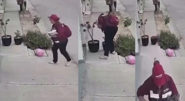 Captan a chaleco guinda robándose planta