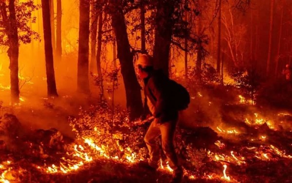 Muere adulto mayor al intentar apagar incendio forestal