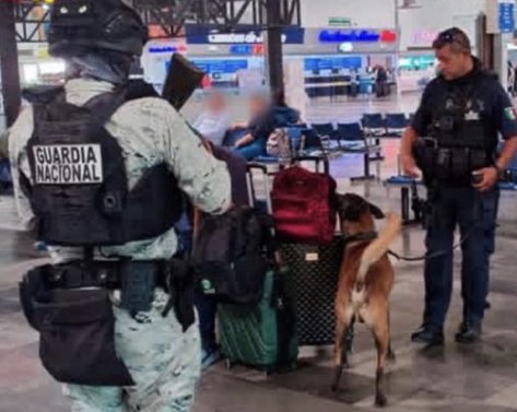 Blindan la Central Camionera con fuerte operativo de seguridad