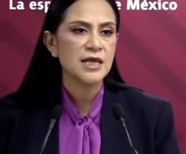 Morena defiende designaciones de consolación