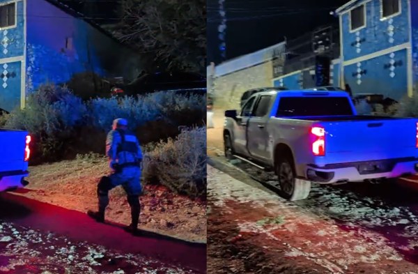 Hallan a perros jugando con huesos humanos