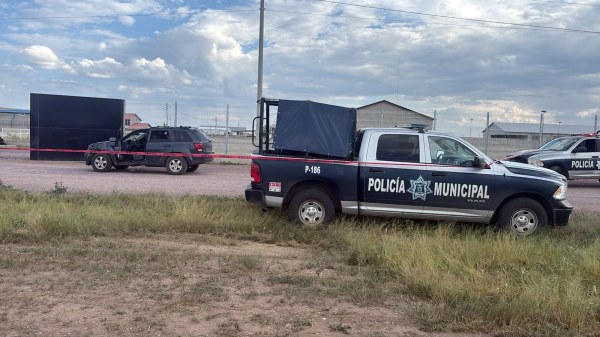 Lo levantan en campo menonita