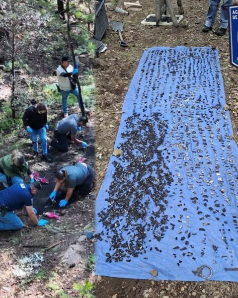Hallan más restos óseos en Madera