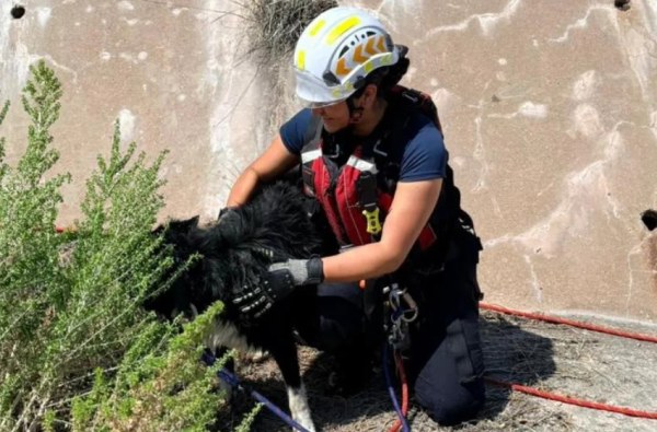 Rescatan a perrito en Presa Chihuahua