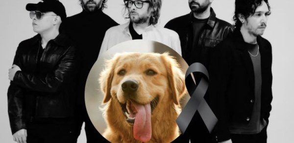 Sujeto confiesa motivo tras atentar contra mascota familiar