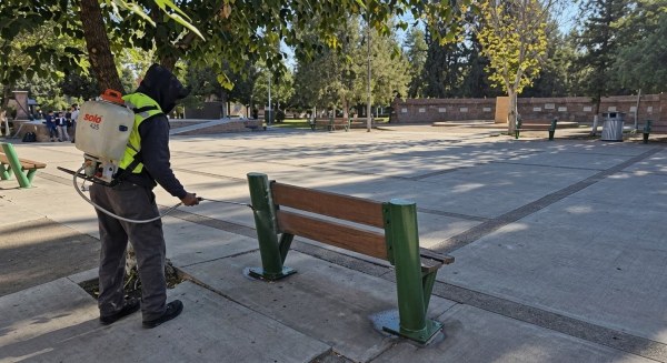 Mantienen fumigaciones en parques