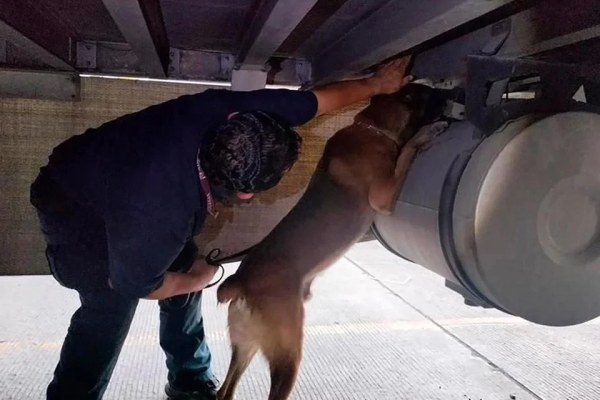 Aseguran 75.9 kilos de cocaína en Tijuana