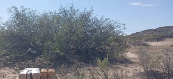 Aseguran 60 kilos de marihuana entre hierbas