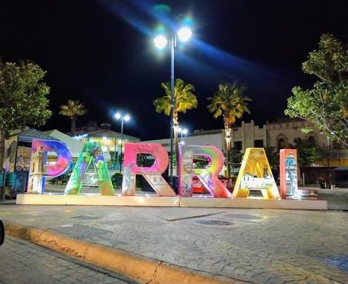 Detectan en Parral primer caso de gusano barrenador en cerdo
