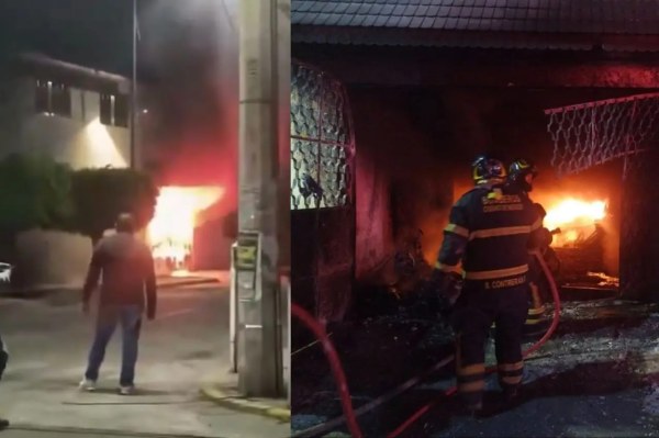 Mueren 14 perros en incendio durante Fiestas Patrias