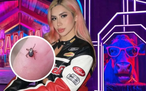 Detectan plaga de garrapatas en ‘La Granja VIP’