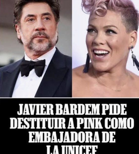 Pide Javier Bardem retirar a Pink de UNICEF
