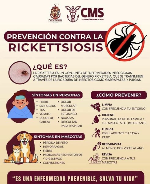 Suroriente, la zona más afectada por casos fatales de rickettsia