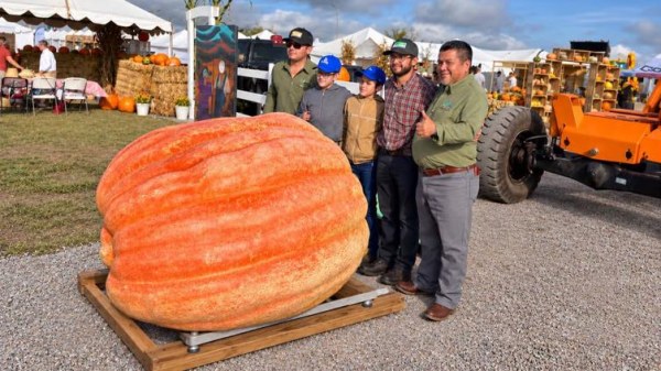 Impone Cuauhtémoc récord con calabaza de 765 kilos