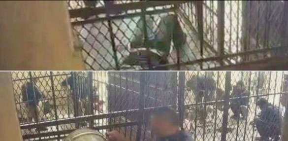 Reo torturado murió por golpes en la cabeza